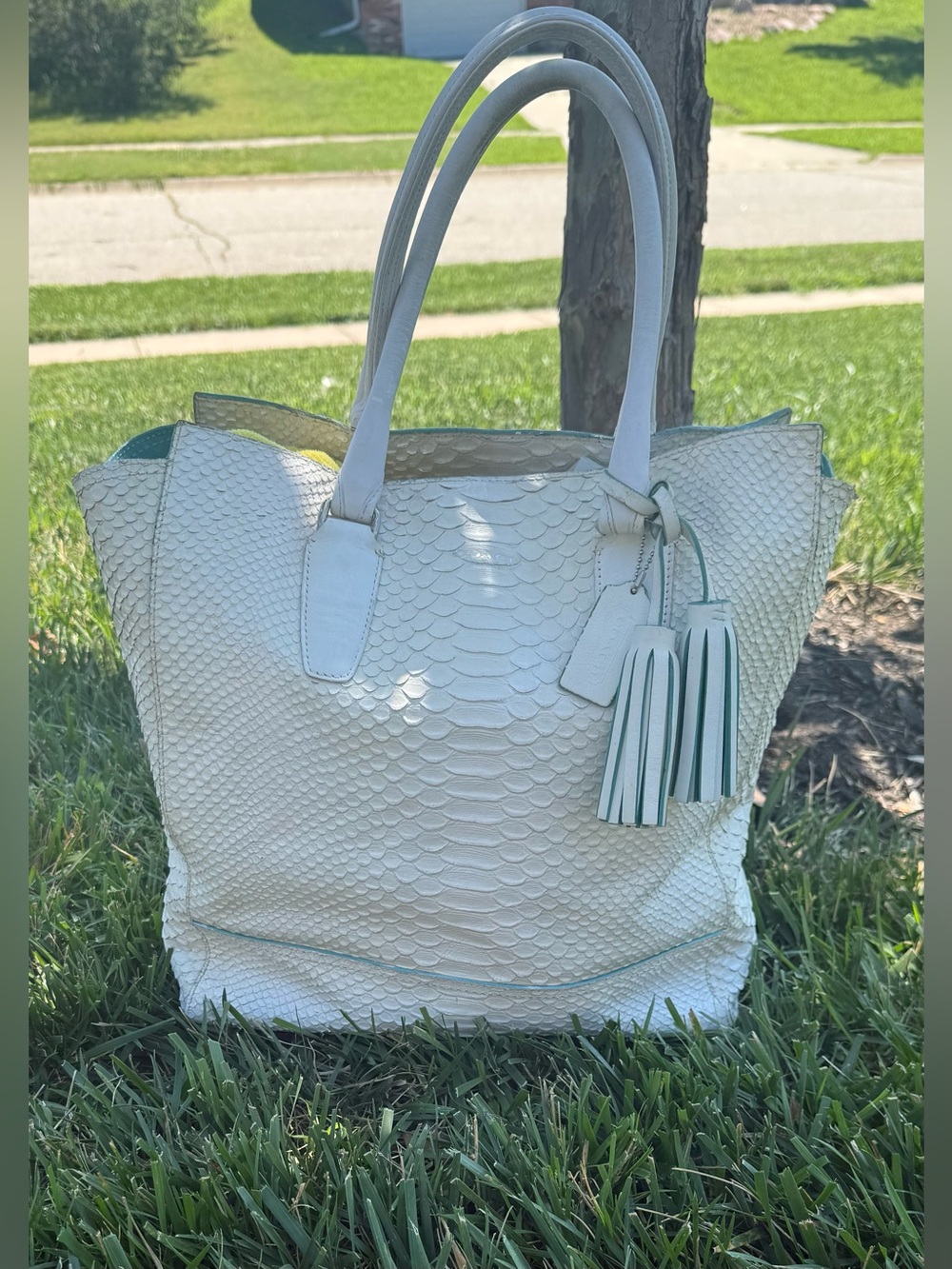 Coach Legacy Python North South Tanner Tote 2013 23418 snake embossed leather